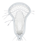 StringKing Mark2M WOMEN's Strung - BKBK