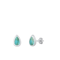 Silver Stone Earrings