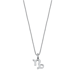 Silver Necklace - Capricorn Zodiac