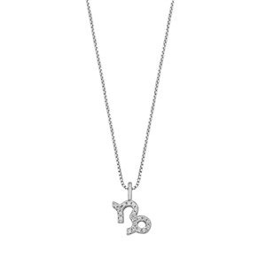 Silver CZ Zodiac Necklace - Capricorn