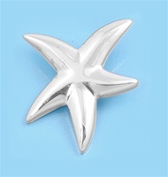 Silver Pendant - Starfish