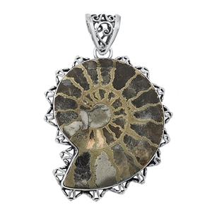 Silver Stone Pendant - Shell Fossil
