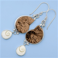 Silver Earrings - Fossil Shell