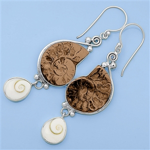 Silver Earrings - Fossil Shell