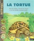 La tortue