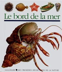 Le bord de la mer