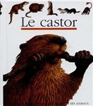 Le castor