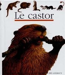 Le castor
