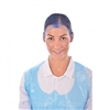 A291 - Hair Net Light Blue (Ring 50)