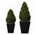 CD159 - Artificial Topiary - Buxus Pyramid