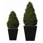 CD159 - Artificial Topiary - Buxus Pyramid