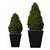 CD160 - Artificial Topiary - Buxus Pyramid