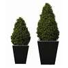 CD160 - Artificial Topiary - Buxus Pyramid
