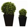 CD161 - Artificial Topiary - Boxwood Ball
