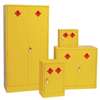 CD999 - Hazardous Substance Single Door Cabinet 457h x 457w x 305mm d (Direct)