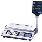 CE053 - CAS AP-Series Weighing Scales Flat with Pole Display GS Stamped (Direct)