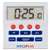 CF916 - Hygiplas Big Digit Timer