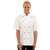 DL711-XS - Whites Chicago Short Sleeve Chef Jacket - White