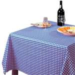 E791 - Blue Check Tablecloth