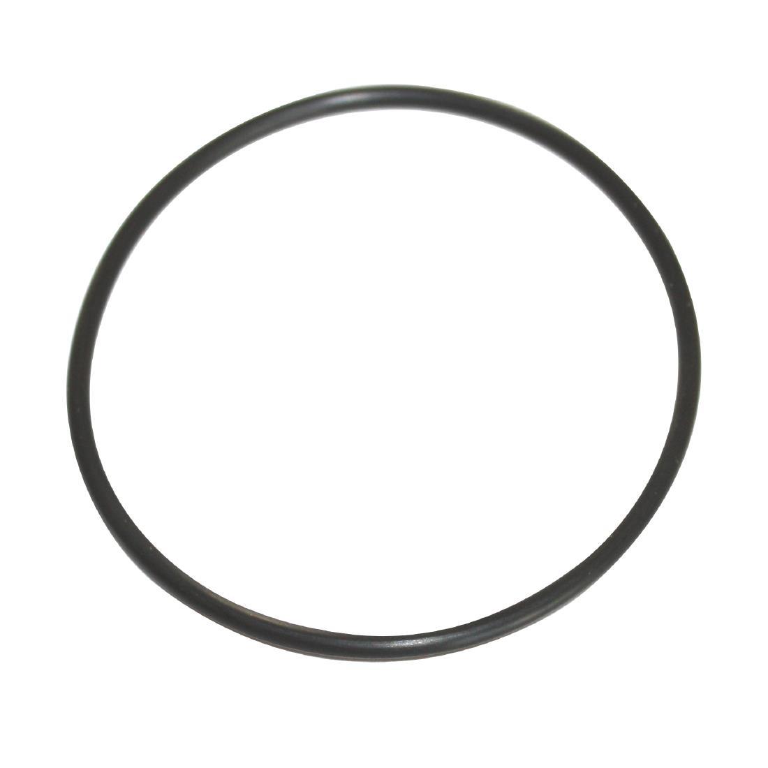 Santos O Ring Seal (62 x 2.5) for E073   N173