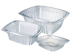 Hinged Salad Containers 2000cc x 300