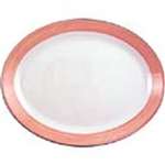 V3130 - Steelite Rio Pink Oval Coupe Dish