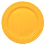 V3800 - Steelite Carnival Sunflower Slimlilne Plate