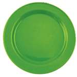 V3953 - Steelite Carnival Fern Slimline Plate