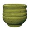 PC-29 Amaco Potters Choice Deep Olive Speckle Glaze Gallon