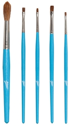 5 Piece Brush Set