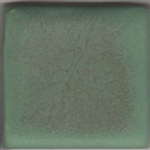 Coyote Glaze 047 Green Matt (10Lb Dry)