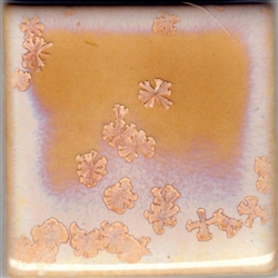 Coyote Glaze 165 Rose Crystal