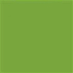 Mason Stain #6211 Pea Green Quarter Pound