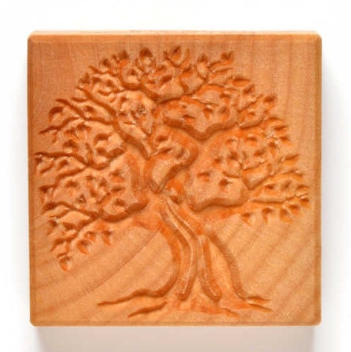 MKM Stamps4Clay - Large Square #50 (Old Tree)