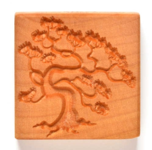 MKM Stamps4Clay - Large Square #54 (Pine Bonsai)