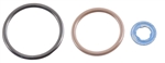 AP0026 - INJ O-RING KIT