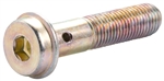 AP0059 - FUEL BANJO BOLT