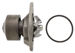 AP63531 - ISB WATER PUMP