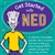 Get Started with NED Kit