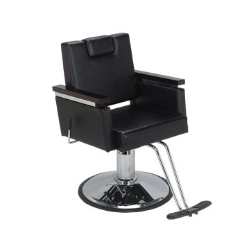 Plaza All-Purpose Styling Chair