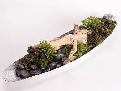 Large Driftwood Centerpiece with Succulents