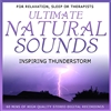 Inspiring Thunderstorm - Natural Sounds