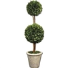 Two Sphere Topiary