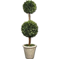 Two Sphere Topiary