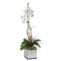 Kaleama Orchids, White