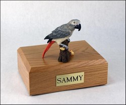 Bird Urn - African Gray Parrot