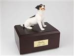 Jack Russell Terrier, Blk & Brn