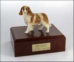 King Charles Spaniel, Standing