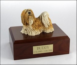 Lhasa Apso, Standing