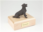Jack Russell Terrier, Bronze